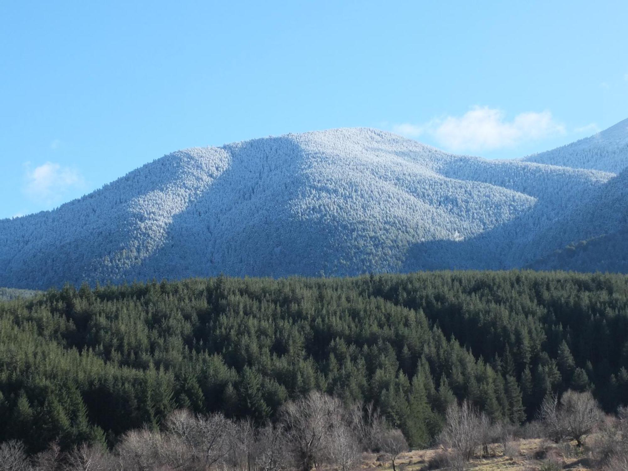 Pirin Heights A-21 Близо До Ски Пистата バンスコ エクステリア 写真